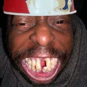 Meet your Posher, Bo